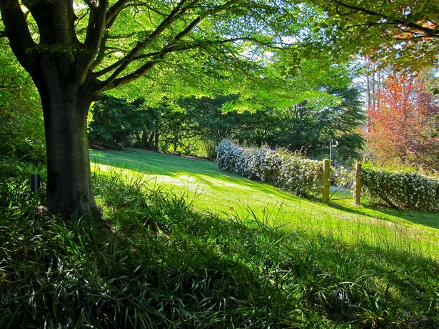best-garden-pictures-40_7 Най-добрите градински снимки