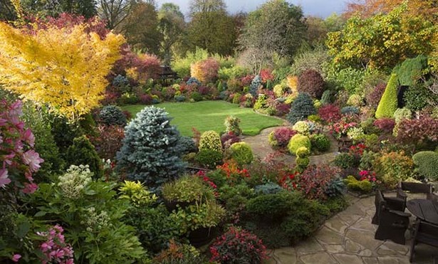 best-garden-pictures-40_9 Най-добрите градински снимки