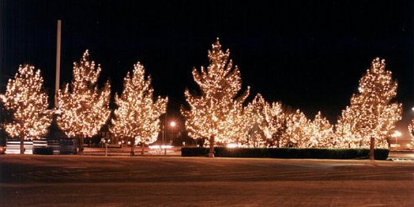 christmas-landscape-lighting-32_2 Коледно ландшафтно осветление