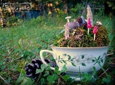 faery-garden-48_8 Градина