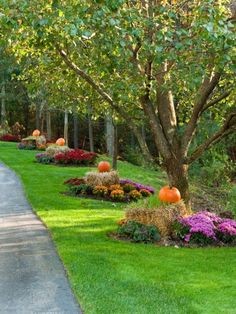 fall-garden-ideas-47_10 Идеи за есенна градина