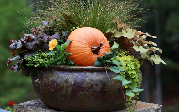 fall-garden-ideas-47_14 Идеи за есенна градина