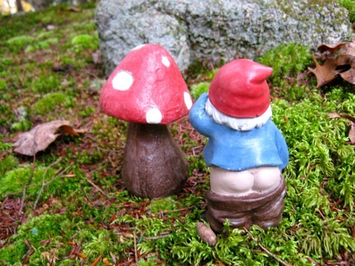 gnome-and-fairy-garden-70_16 Гном и приказна градина