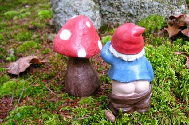 gnomes-for-fairy-gardens-02_14 Гноми за приказни градини