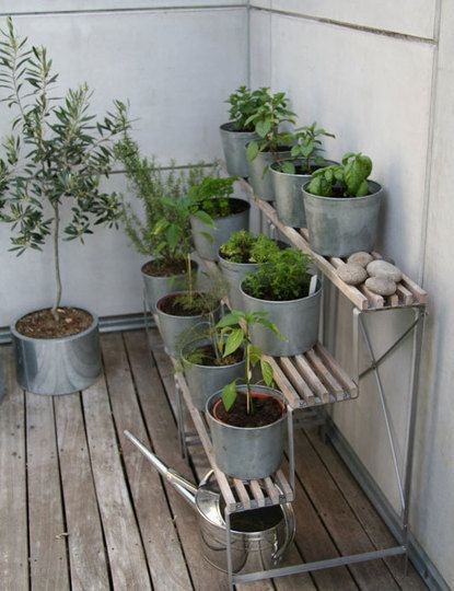 herb-garden-for-apartment-balcony-11 Билкова градина за апартамент балкон
