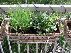 herb-garden-for-apartment-balcony-11_14 Билкова градина за апартамент балкон