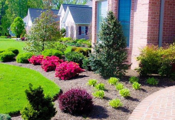 ideas-for-plants-in-front-of-house-66_19 Идеи за растения пред къщата