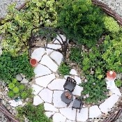 images-of-miniature-garden-26 Снимки на миниатюрна градина