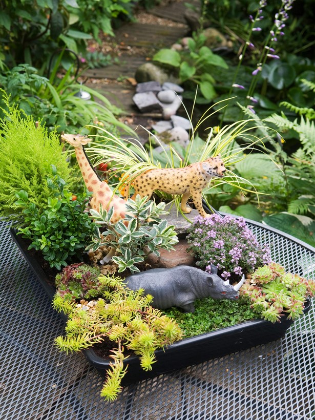 images-of-miniature-garden-26_15 Снимки на миниатюрна градина