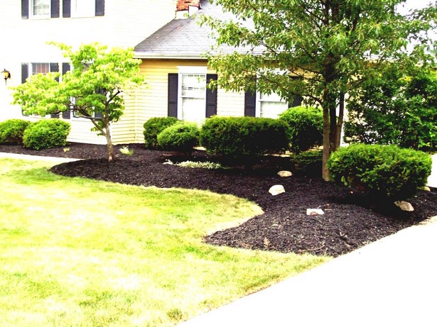 inexpensive-front-yard-landscaping-ideas-84_10 Евтини идеи за озеленяване на предния двор