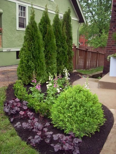 inexpensive-landscaping-plants-42 Евтини озеленителни растения
