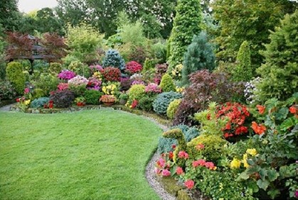 inexpensive-shrubs-for-landscaping-72_5 Евтини храсти за озеленяване