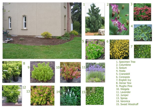 landscape-design-ideas-for-side-of-house-57_12 Идеи за ландшафтен дизайн за страна на къщата