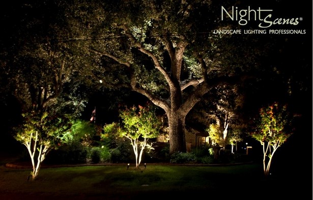 landscape-lighting-for-trees-49_18 Ландшафтно осветление за дървета