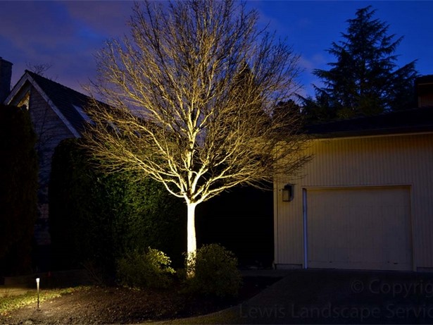 landscape-lighting-for-trees-49_3 Ландшафтно осветление за дървета