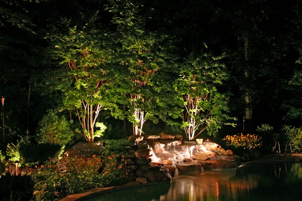 landscape-lighting-for-trees-49_4 Ландшафтно осветление за дървета
