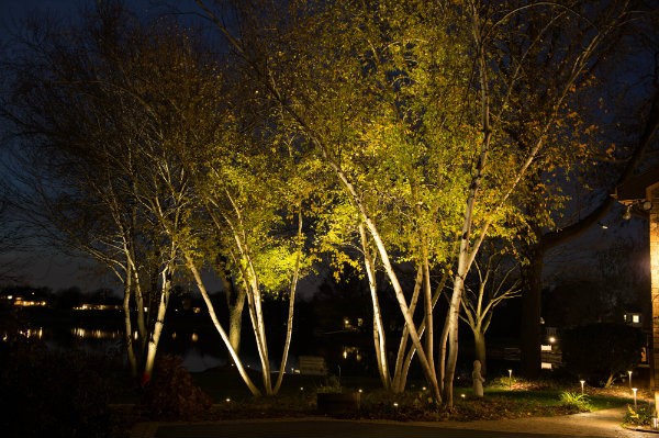 landscape-lighting-for-trees-49_9 Ландшафтно осветление за дървета