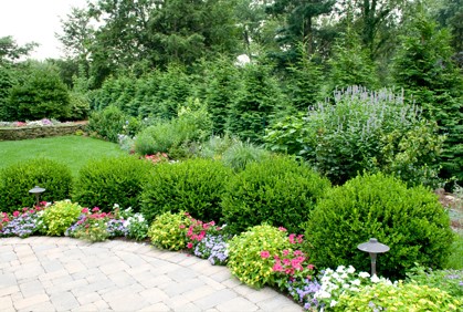 landscaping-bushes-for-front-of-house-21 Озеленяване храсти за предната част на къщата