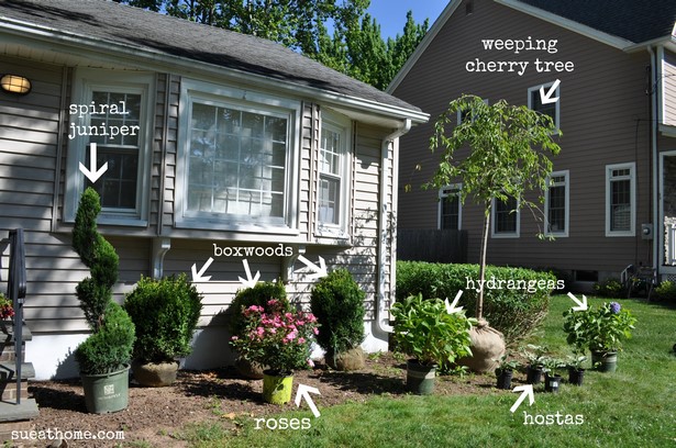 landscaping-bushes-for-front-of-house-21_5 Озеленяване храсти за предната част на къщата