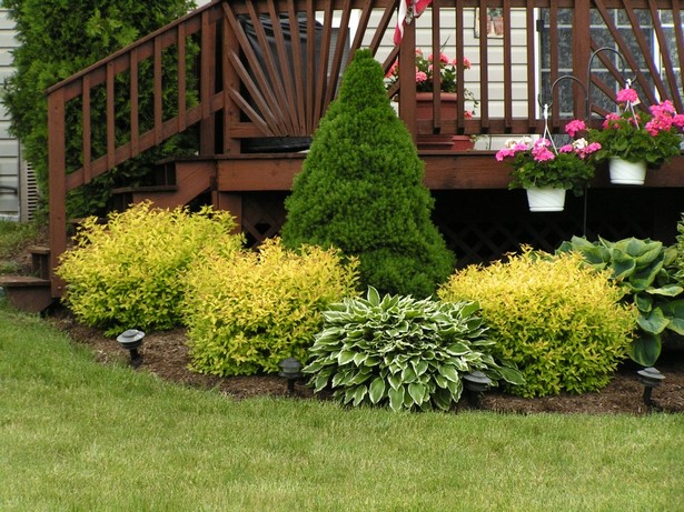 landscaping-bushes-for-front-of-house-21_6 Озеленяване храсти за предната част на къщата