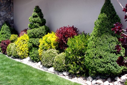 landscaping-bushes-for-front-of-house-21_7 Озеленяване храсти за предната част на къщата