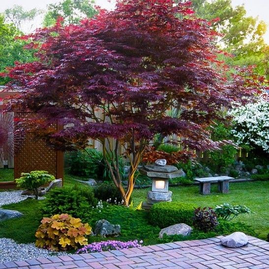 landscaping-design-ideas-for-backyard-78_9 Озеленяване дизайнерски идеи за задния двор