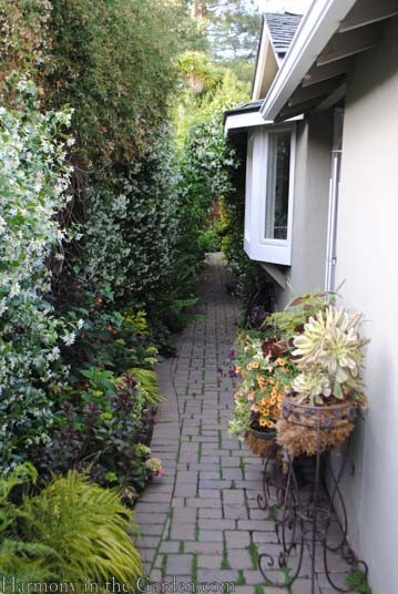landscaping-ideas-for-side-yard-54_15 Озеленяване идеи за страничен двор