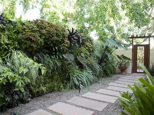 landscaping-ideas-for-side-yard-54_19 Озеленяване идеи за страничен двор