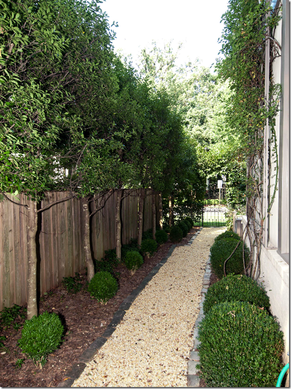 landscaping-narrow-side-yard-97 Озеленяване тесен страничен двор