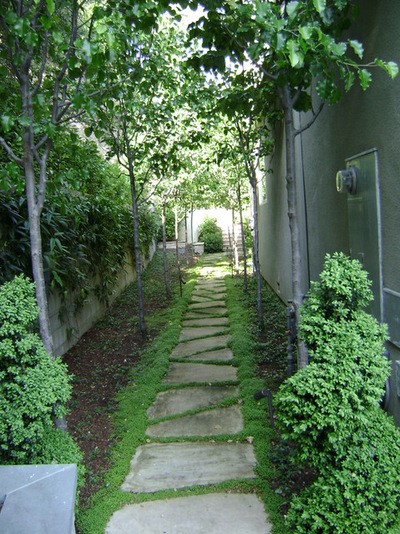landscaping-narrow-side-yard-97_18 Озеленяване тесен страничен двор