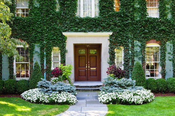 landscaping-shrubs-for-front-of-house-17_20 Озеленяване храсти за предната част на къщата