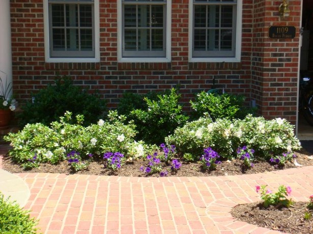 landscaping-shrubs-for-front-of-house-17_4 Озеленяване храсти за предната част на къщата