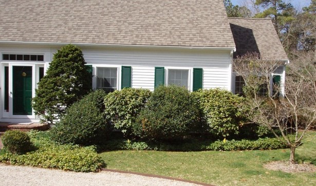 landscaping-shrubs-for-front-of-house-17_8 Озеленяване храсти за предната част на къщата