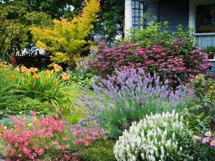 landscaping-your-garden-on-a-budget-90_17 Озеленяване на вашата градина с бюджет