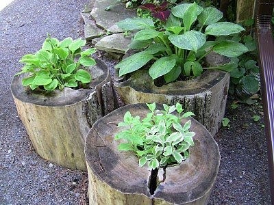 log-landscaping-ideas-19_16 Идеи за озеленяване