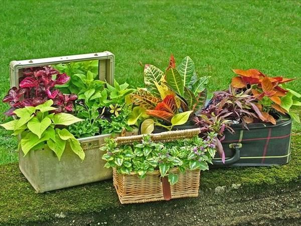 low-budget-garden-ideas-52_3 Идеи за градина с нисък бюджет