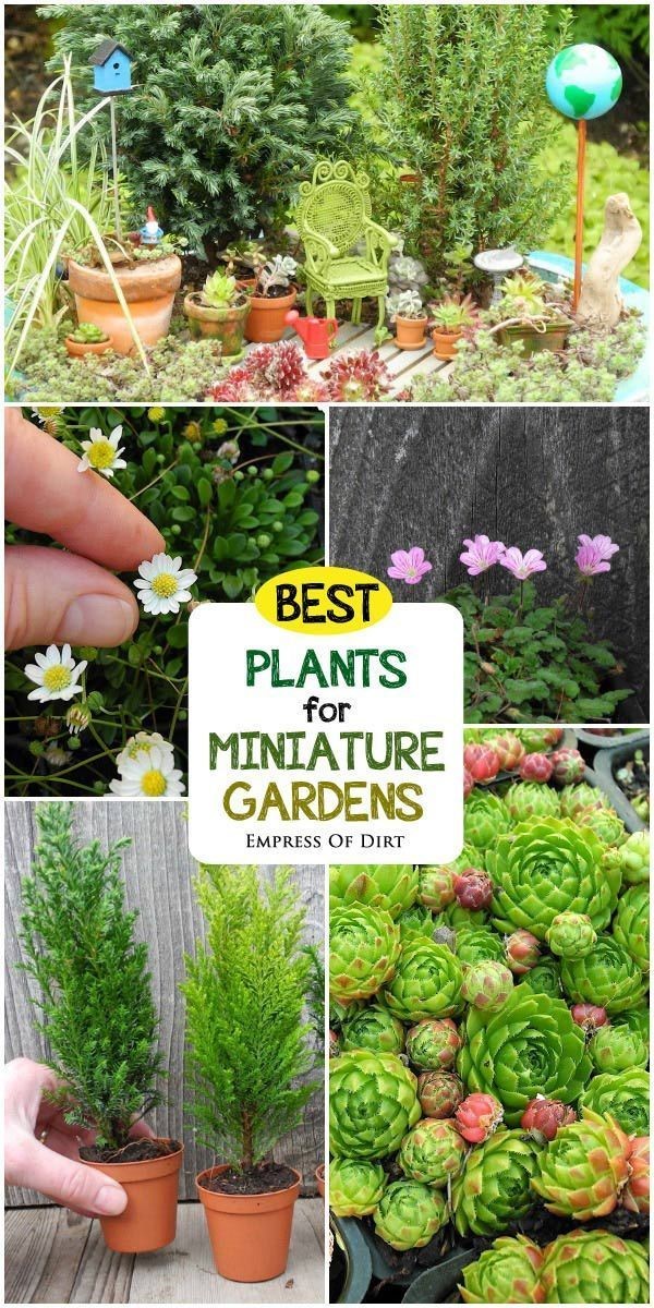 miniture-garden-ideas-02_14 Идеи за градината