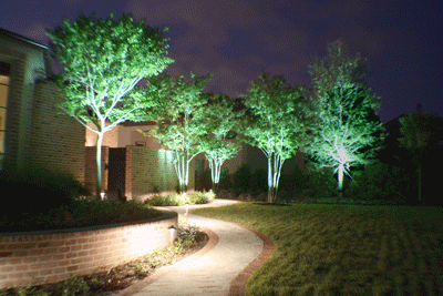 outdoor-lighting-for-trees-low-voltage-97 Външно осветление за дървета ниско напрежение