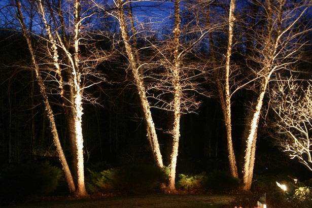 outdoor-lighting-for-trees-low-voltage-97_10 Външно осветление за дървета ниско напрежение