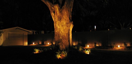 outdoor-lighting-for-trees-low-voltage-97_12 Външно осветление за дървета ниско напрежение