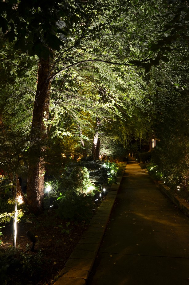 outdoor-lighting-for-trees-low-voltage-97_14 Външно осветление за дървета ниско напрежение
