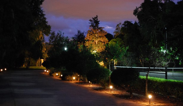 outdoor-lighting-for-trees-low-voltage-97_4 Външно осветление за дървета ниско напрежение