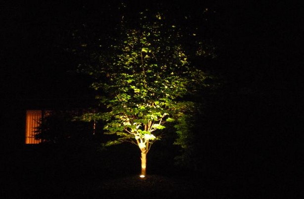 outdoor-lighting-for-trees-low-voltage-97_7 Външно осветление за дървета ниско напрежение