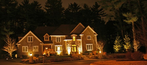 outdoor-lighting-for-trees-low-voltage-97_8 Външно осветление за дървета ниско напрежение