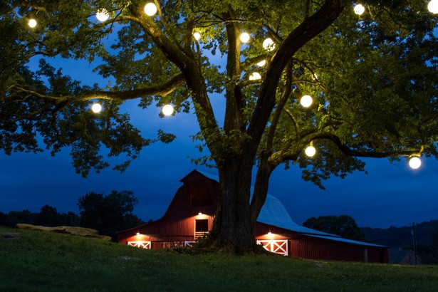 outdoor-lighting-for-trees-64 Външно осветление за дървета