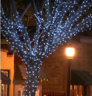 outdoor-lighting-for-trees-64_12 Външно осветление за дървета