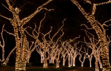 outdoor-lighting-for-trees-64_6 Външно осветление за дървета