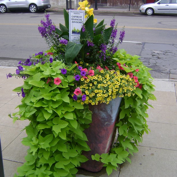 patio-flower-pots-ideas-63_10 Вътрешен двор саксии за цветя Идеи