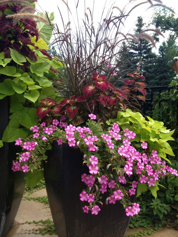 patio-flower-pots-ideas-63_9 Вътрешен двор саксии за цветя Идеи