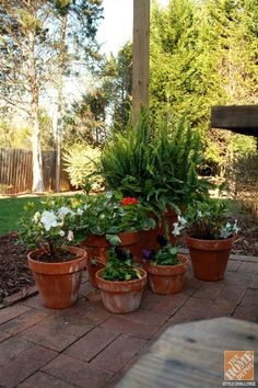 patio-pot-plants-ideas-34_8 Вътрешен двор саксия растения идеи